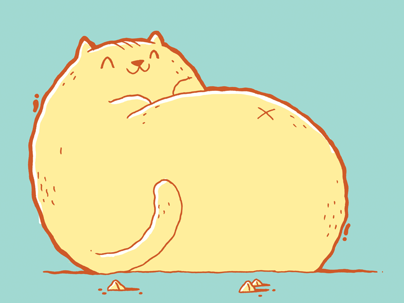 Happy fat cat