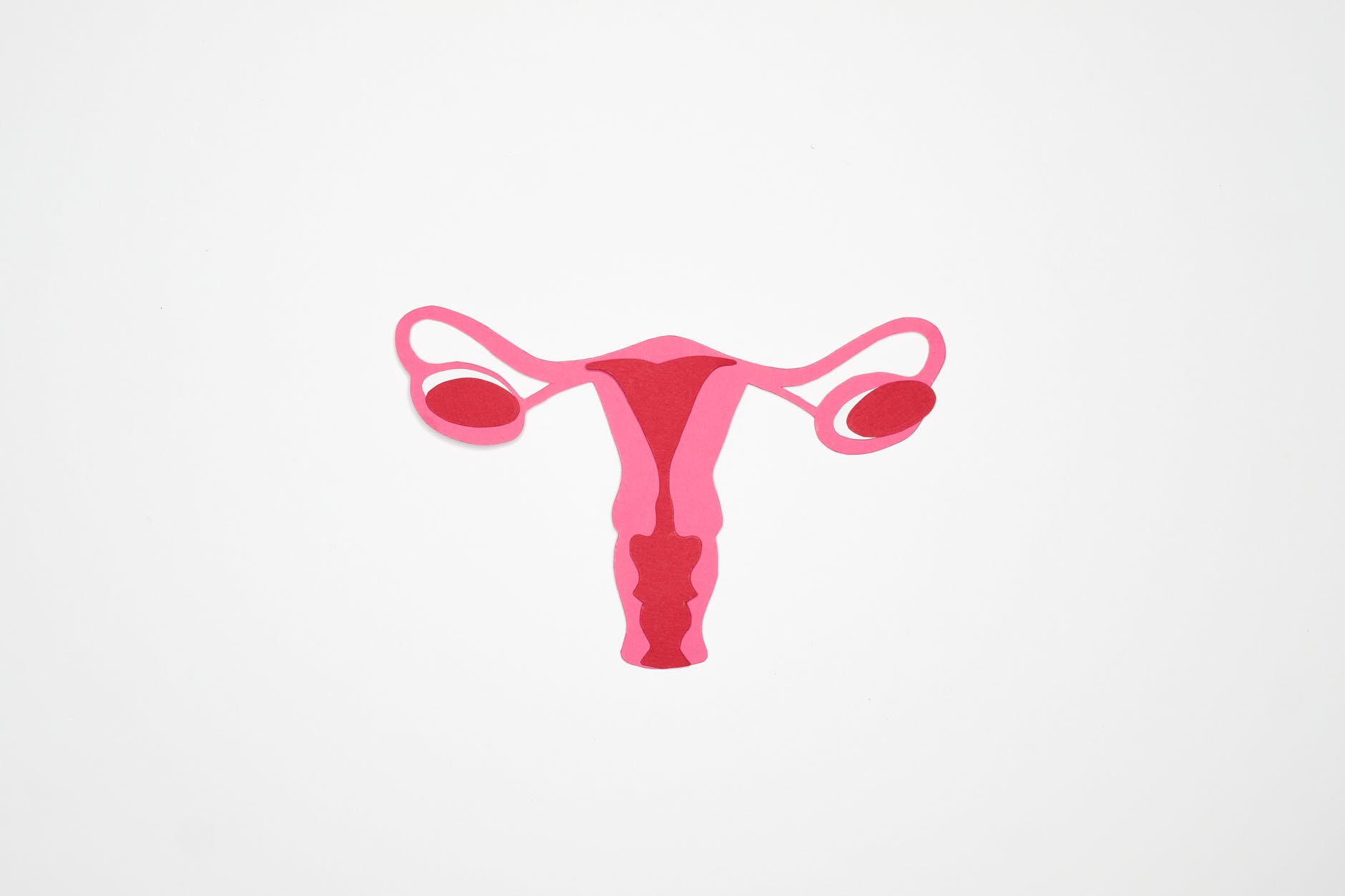 graphic art of a woman s ovary pcos one of the health conditions that cause weight gain