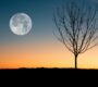 The Worm Moon And A Lunar Eclipse – The 25th Is A Powerful Time For Healing