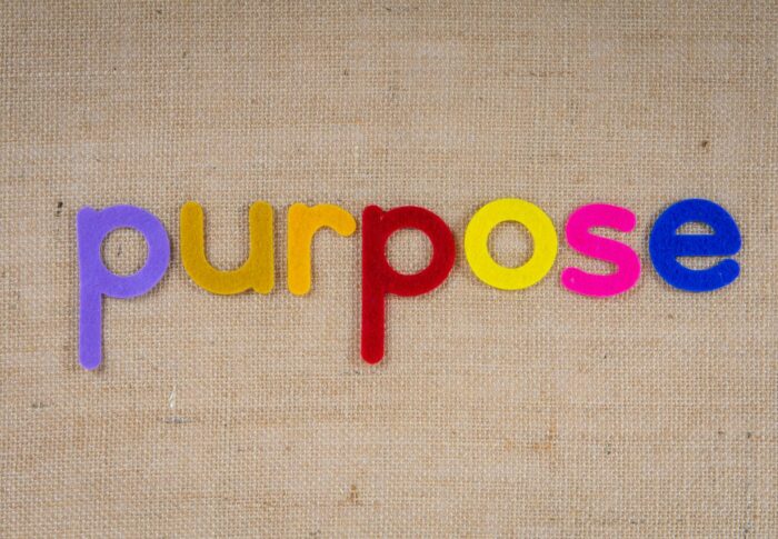 My Purpose – Is There 1 Clear Thing I’m Here For?